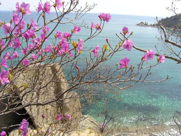 Бухта Спокойная