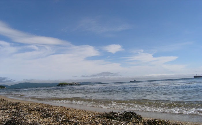 Остров Попова