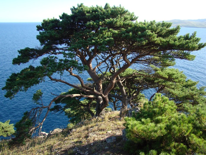 Хасанский район