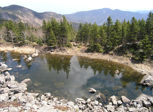 Гора Ольховая