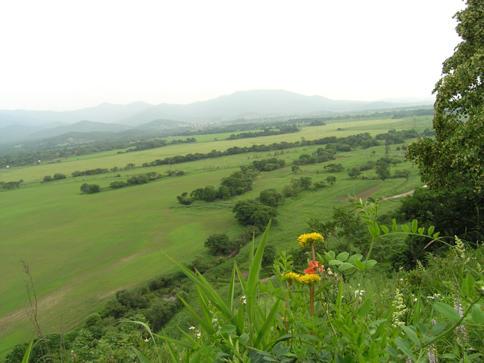 Золотая Долина