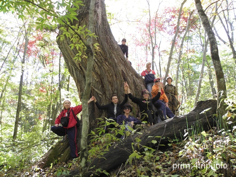 Смольнинские водопады