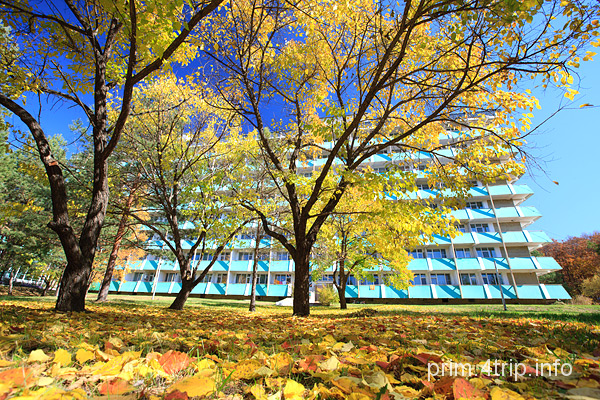 Изумрудный