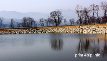 Тихоокеанская гавань