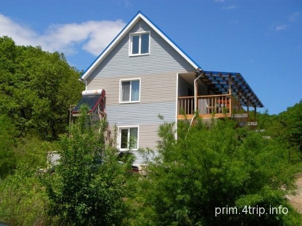 Школьная, частный дом в Андреевке