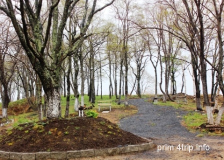 Тихоокеанская гавань