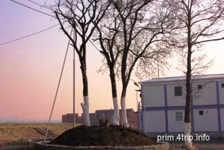 Тихоокеанская гавань