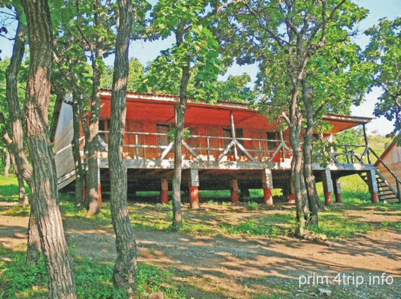 Новая Волна