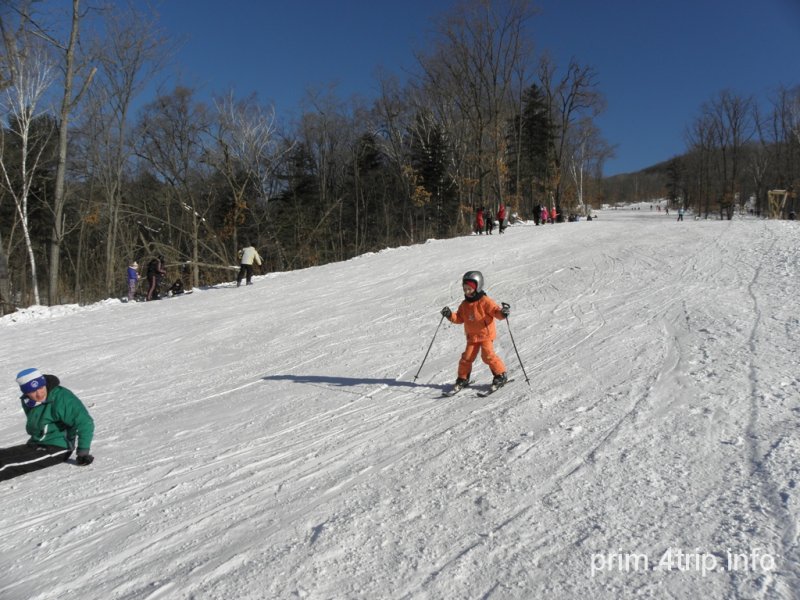 Алексеевский