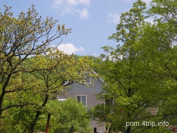 Школьная, частный дом в Андреевке