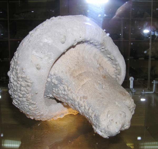 Дальнегорск